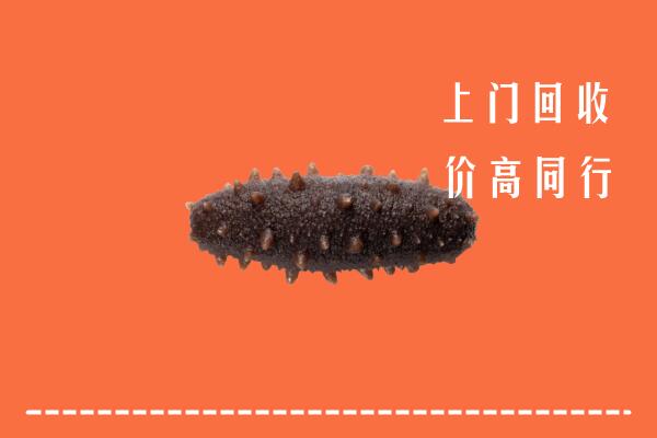兴宁市高价回收海参