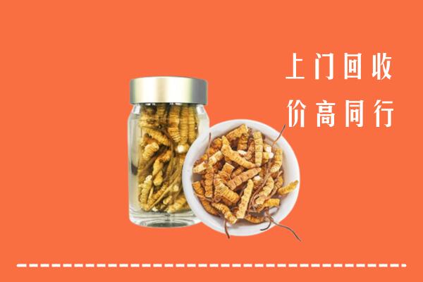 附近收购：兴宁市回收冬虫夏草